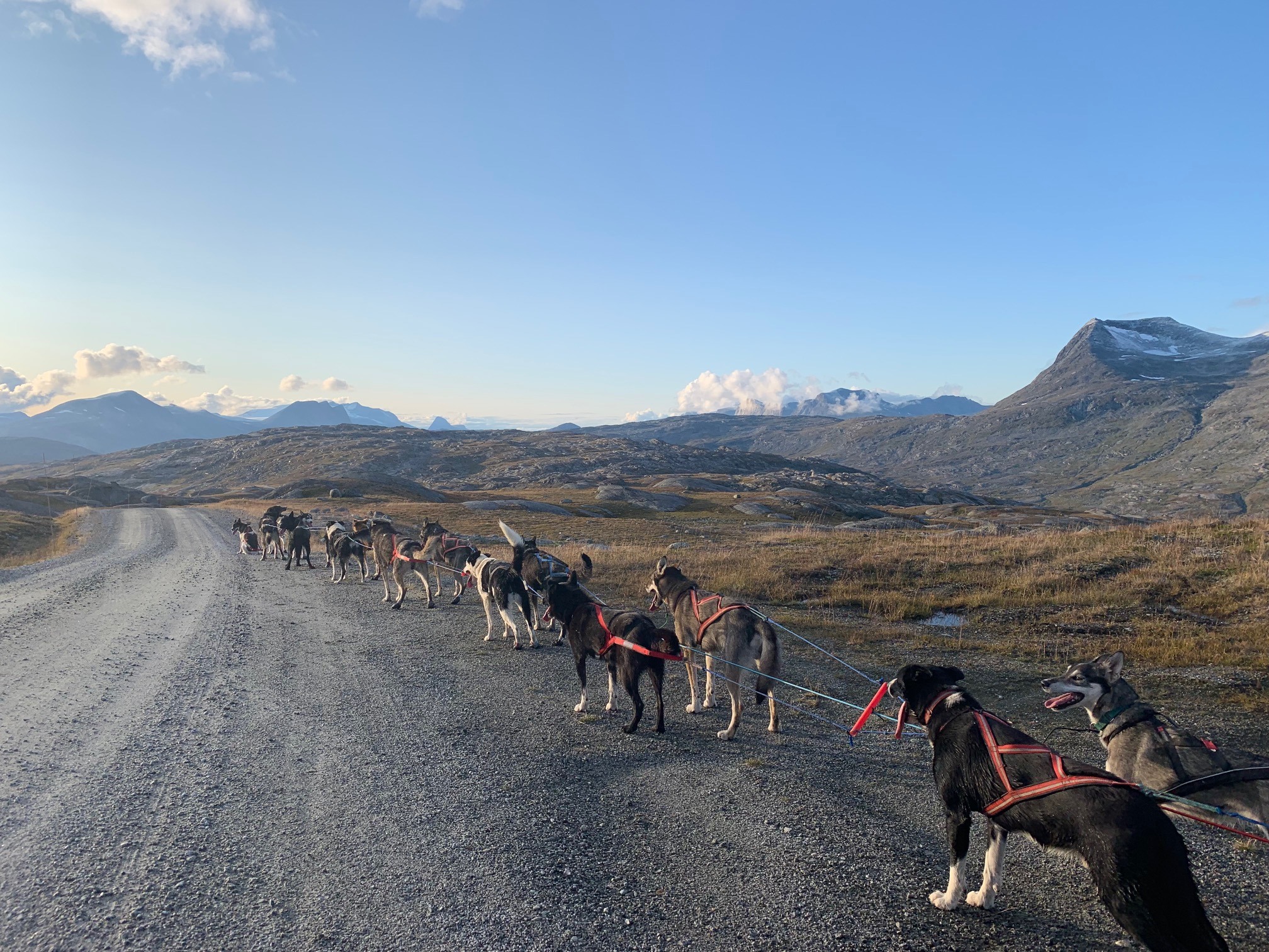 Tromsø og omegn trekkhundklubb